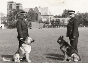 inverness-constabulary-dog-handlers