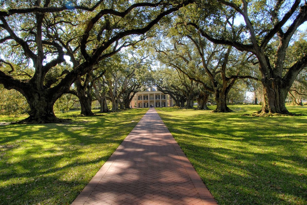 oak-alley-plantation